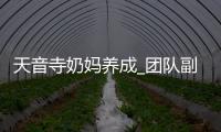 天音寺奶妈养成_团队副本必备辅助攻略
